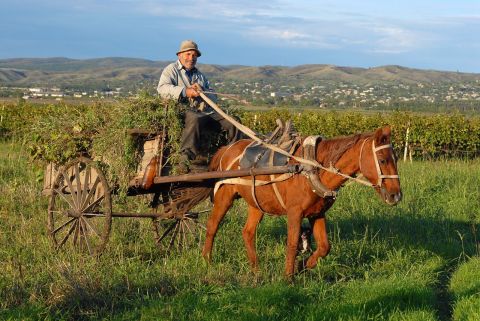 Trans Caucasus Tour