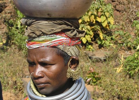 India, Orissa and Chattisgarh Tour