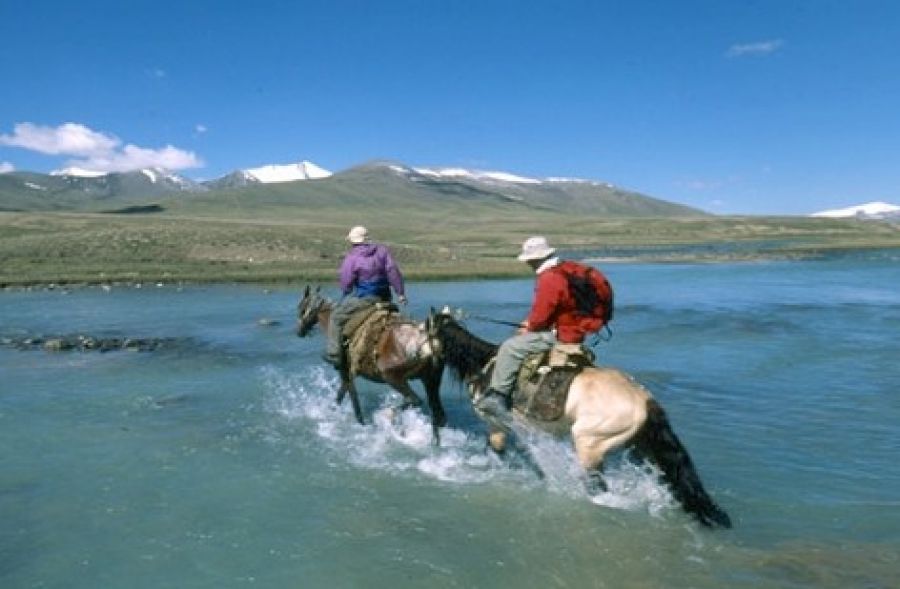 Horseback riding tour