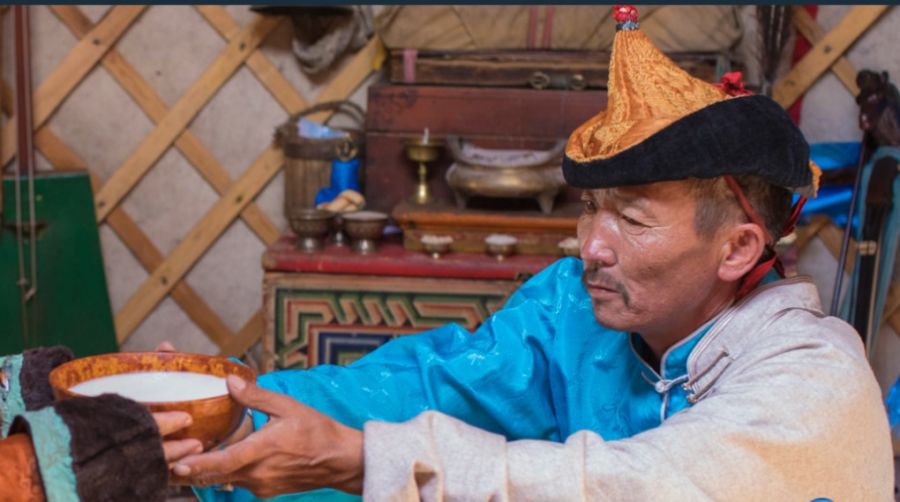 New Year Festival Tour