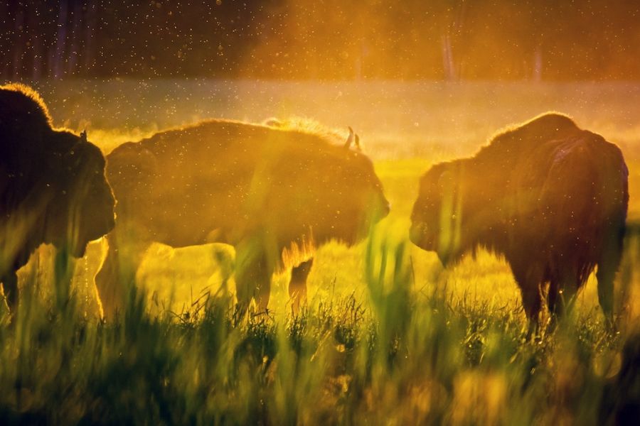 Belarus UNESCO Heritage Tour