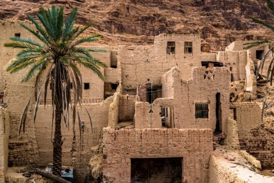 Saudi Arabia Highlight Tour